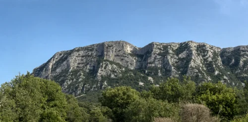 header pic saint loup