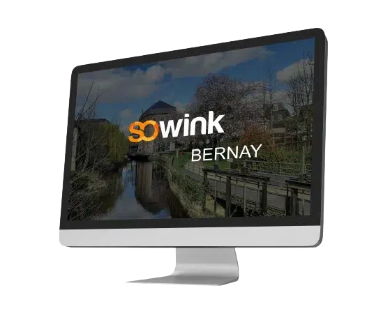 sowink bernay r